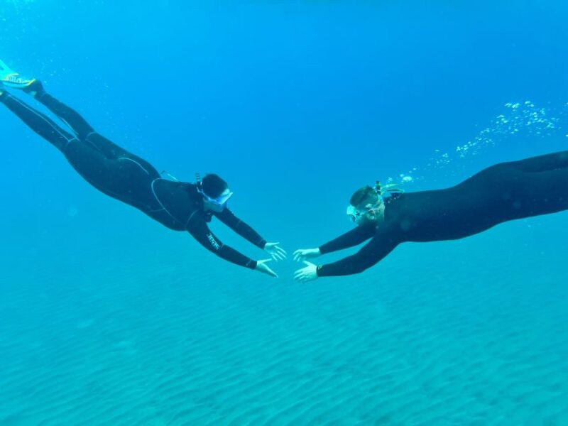 Free Diving and Snorkeling Experience Turtle Beach - Booking Information