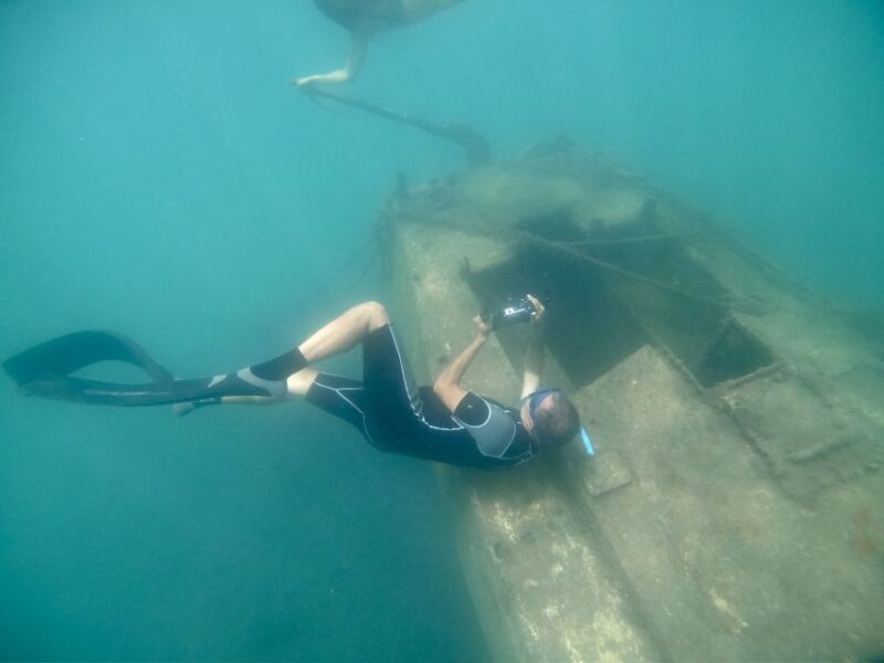 Free Diving and Snorkeling Experience Turtle Beach - Included Equipment and Requirements
