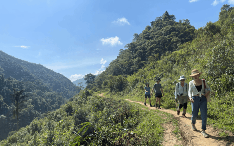 Free & Easy - 3D4N - Rice Terraces Treks & Easy Rider - Accommodations and Meals