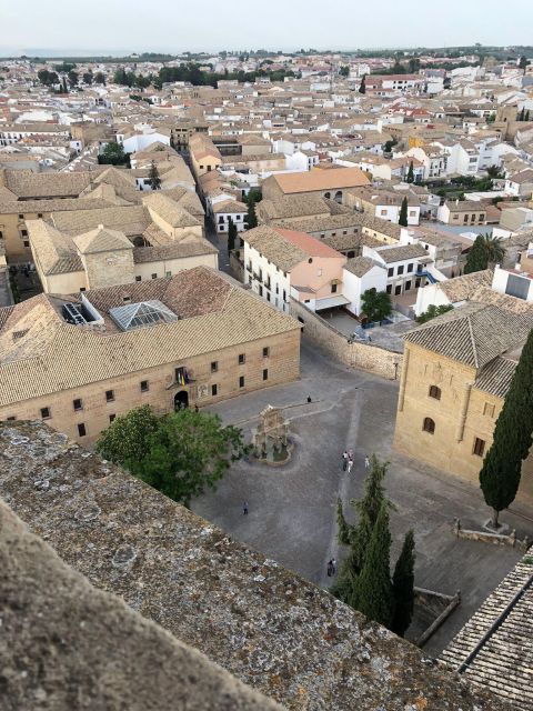 Free Tour Baeza - Frequently Asked Questions