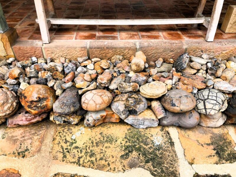 Free Tour of Barichara: the Most Beautiful Town in Colombia (Based on Tips) - Customer Reviews and Ratings