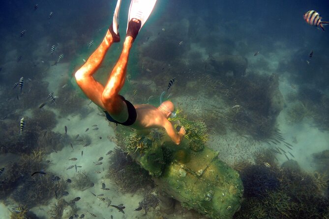 Freedive Trip Koh Kood or Koh Rang National Park ( Start at Ko Kut) - Meeting and Pickup