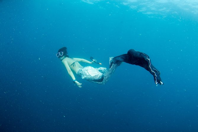 Freediver Advanced (Start at Koh Chang) - Accessibility and Requirements