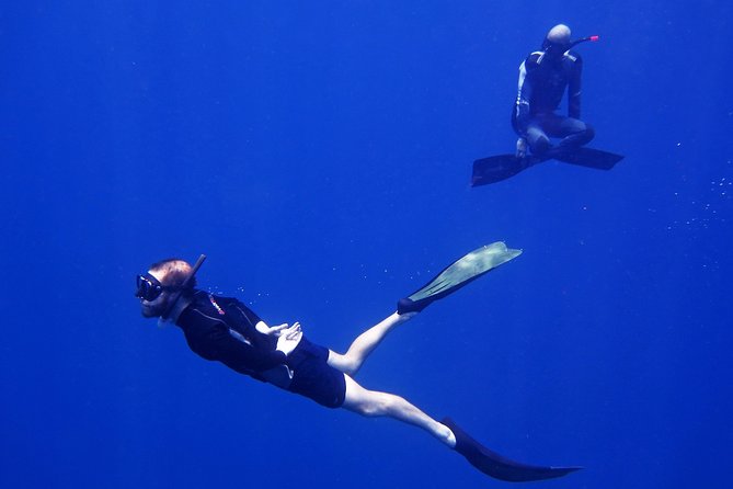 Freediver Advanced (Start at Koh Chang) - About BB Divers