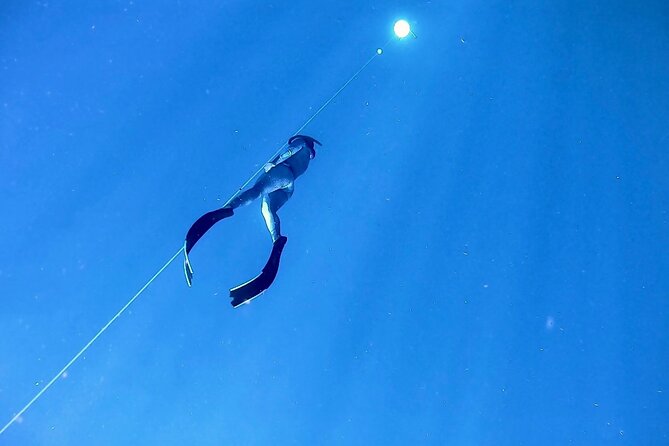Freediver Certification Course - Pool Training Essentials