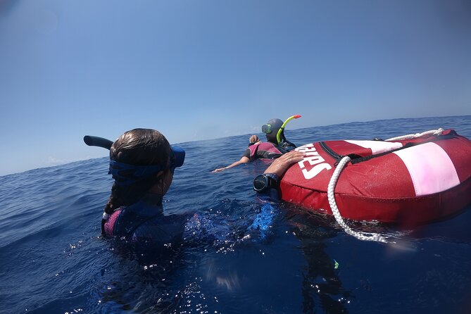 Freediver Certification Course - Equipment and Gear