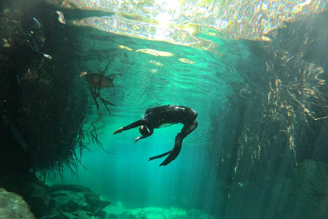 Freediving Discovery Day in Tulum! - Activity Availability and Duration
