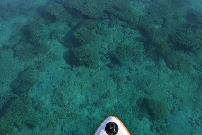 Freediving in Costa Rica - Capturing Memorable Moments Underwater