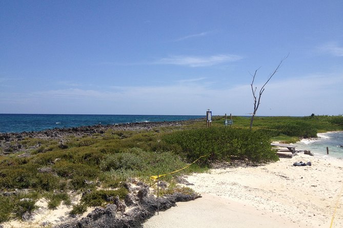 Freeport Snorkeling Peterson Cay National Park and Hotel Day Pass - Meeting Point and Schedule