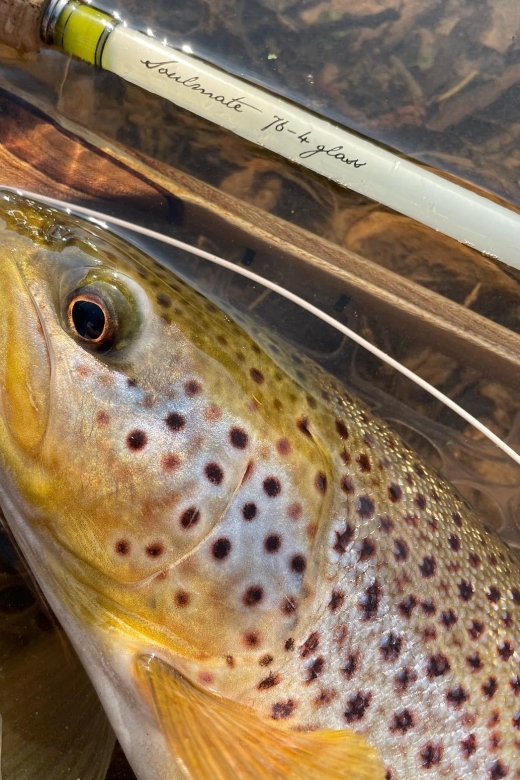 Freestone Guiding: Guided Flyfishing for Wild Brown Trout - Key Points