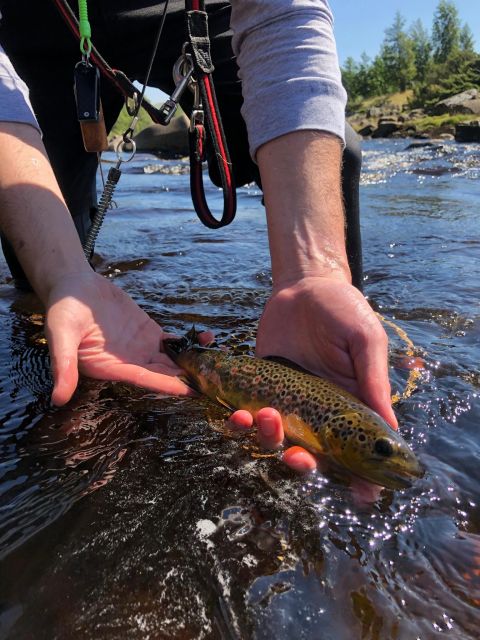 Freestone Guiding: Guided Flyfishing for Wild Brown Trout - Stunning Landscapes