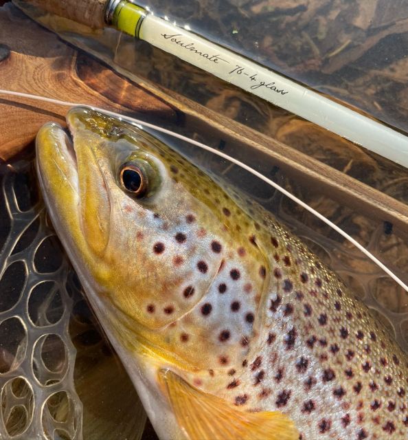 Freestone Guiding: Guided Flyfishing for Wild Brown Trout - Frequently Asked Questions