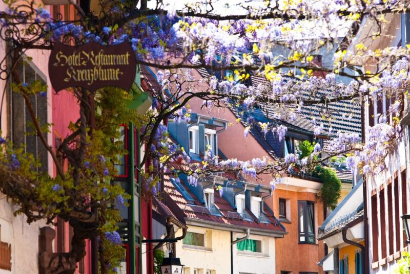 Freiburg: Gässle, Bächle and More City Tour - Key Highlights