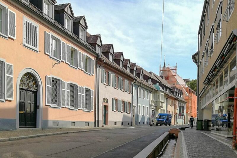 Freiburg: Gässle, Bächle and More City Tour - Inclusions