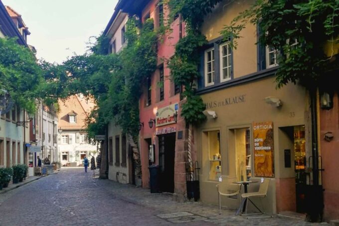 Freiburg: Gässle, Bächle and More City Tour - Historic Sights Around Cathedral