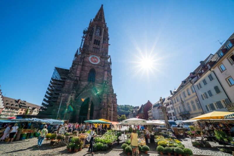 Freiburg: Guided Walking Tour - Meeting Point and Route