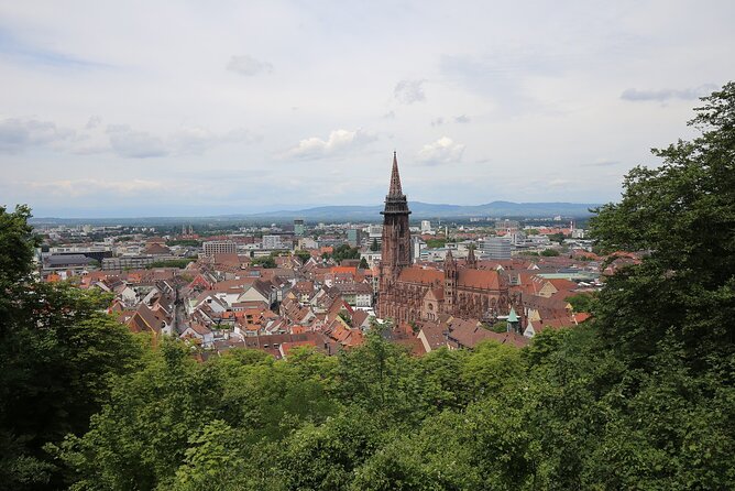 Freiburg - Historic Walking Tour - Guide and Accessibility