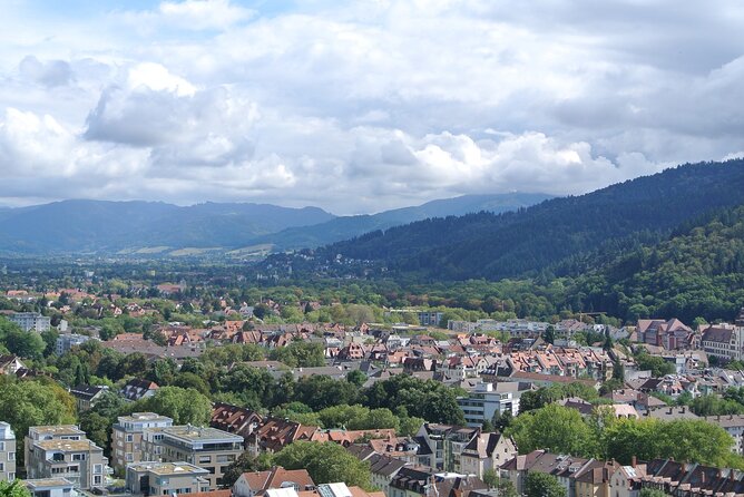 Freiburg - Historic Walking Tour - Confirmation and Cancellation Policy