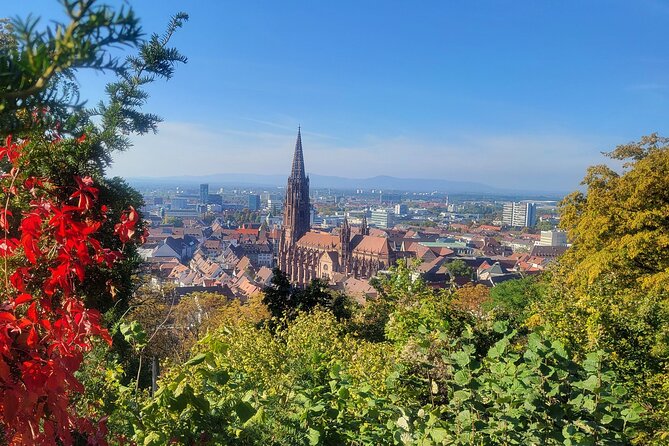 Freiburg - Historic Walking Tour - Exploring Freiburgs Old Town