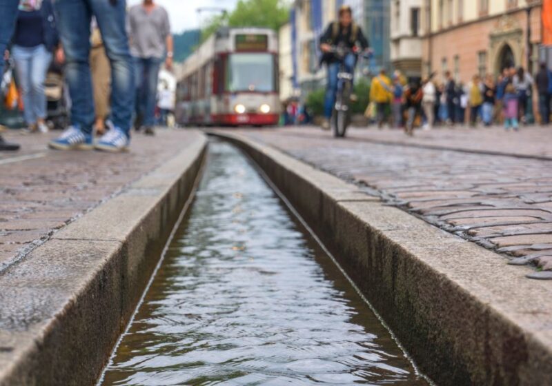 Freiburg: Scavenger Hunt and City Highlights Walking Tour - Exploring Freiburg at Your Pace