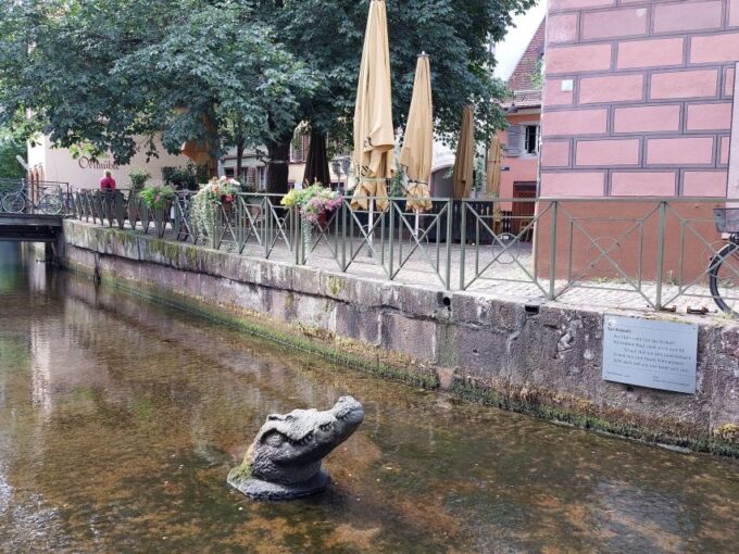 Freiburg: Walking and Strolling the Historic Center - Engaging With Professional Tourist Guide
