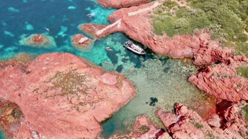 Fréjus: 2:30 AM Sea Excursion by Boat - Key Points