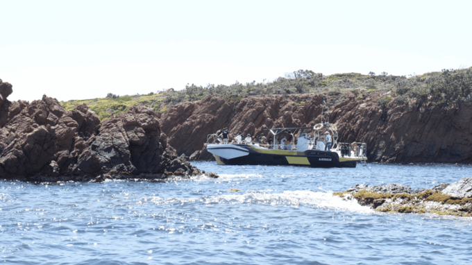 Fréjus: Sea and Creeks Boat Tour With Snorkeling and Drinks - Frequently Asked Questions