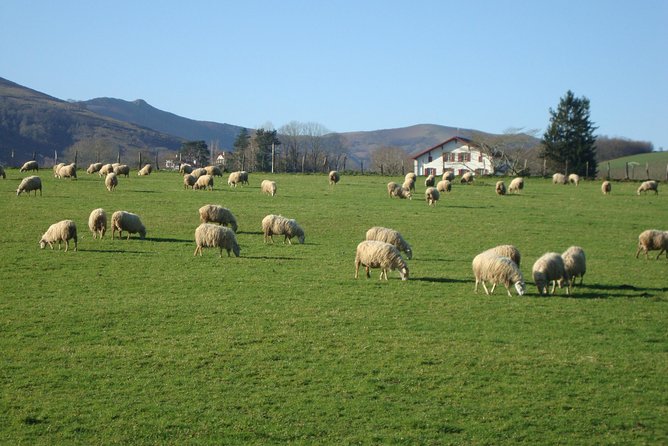 French Basque Countryside Private Tour - Basque Culture and History