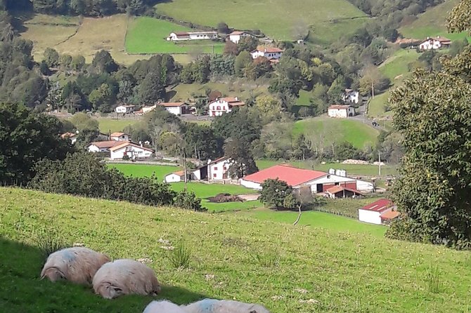 French-Basque Countryside Private Tour Discover the Hidden Beauty of Pyrenees - Basque Agricultural Practices