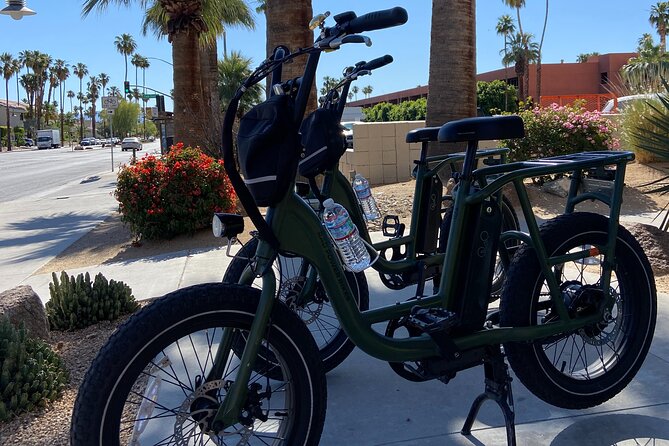 French Bicycle Tour of Palm Springs - Customer Reviews and Testimonials