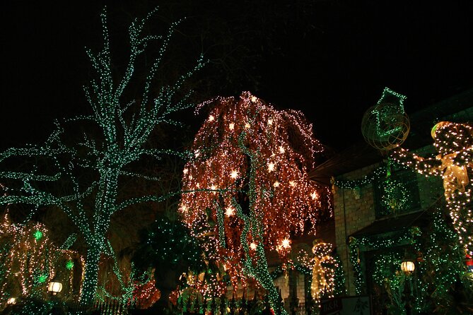 French Christmas Tour in Brooklyn - Reviews