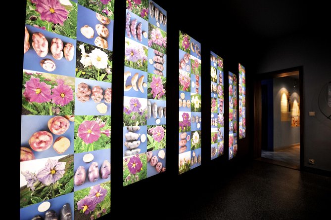 French Fry Museum Entrance Ticket - Group Size and Participation