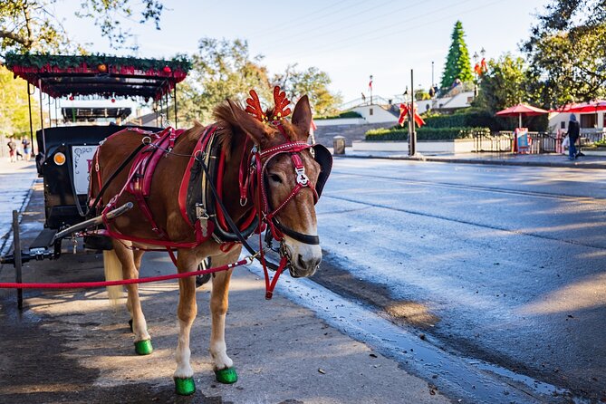 French Quarter Highlights Self-Guided Walking Tour of New Orleans - Engaging Storytelling