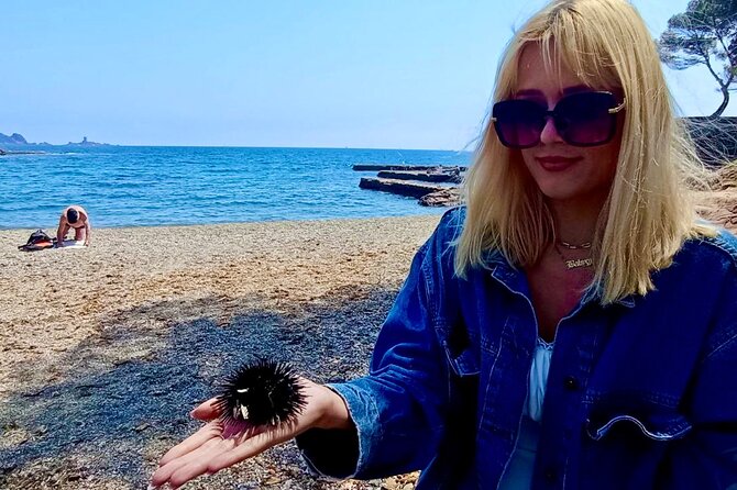 French Riviera Colorado & Var West by Train (from Cannes/Nice) - Traveler Experiences