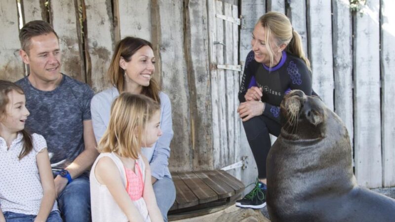 French Riviera: Marineland Entrance Ticket - Dolphin and Sea Lion Shows