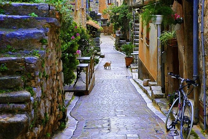 French Riviera & Medieval Villages Full Day Private Tour - Exploring Cannes