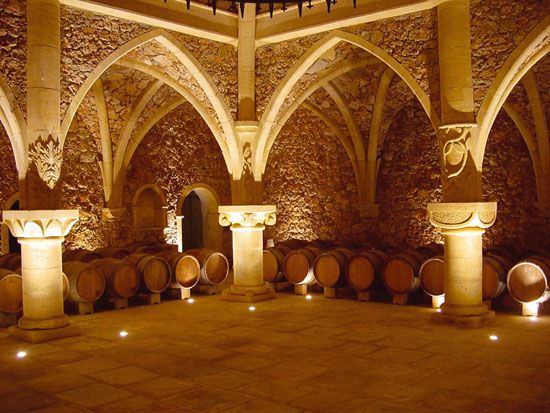 French Riviera: Provencal Wine Tours - Highlights of the Tour