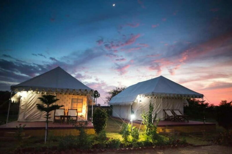 Frenzy Paradise Overnight Thar Desert Camping Tour - A Practical Overview of the Tour