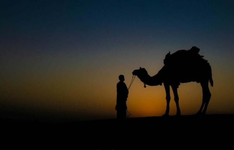 Frenzy Paradise Overnight Thar Desert Camping Tour - Who Might Want to Skip It?