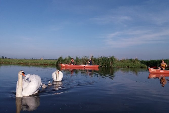 Fresh Nose Tour With the Canoe Through the Nature Near Amsterdam - Tour Schedule and Cancellation