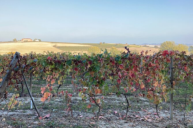 Fresh Pasta With a View in Langhe, Roero, Monferrato Near Asti - Booking and Cancellation Policy