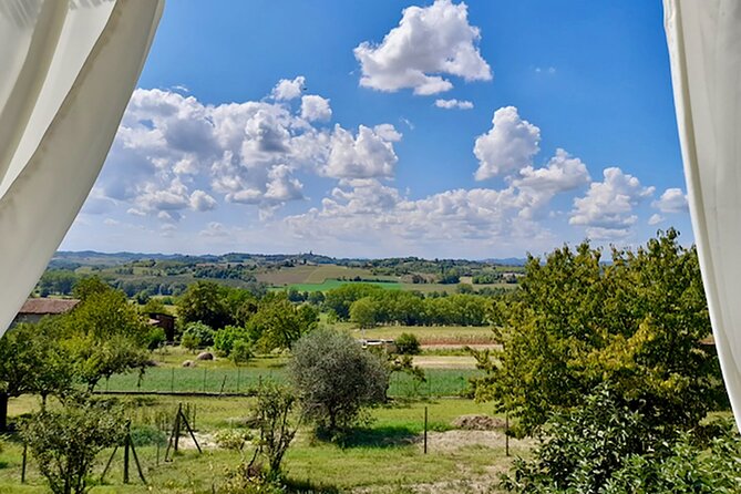 Fresh Pasta With a View in Langhe, Roero, Monferrato Near Asti - Traveler Feedback Highlights