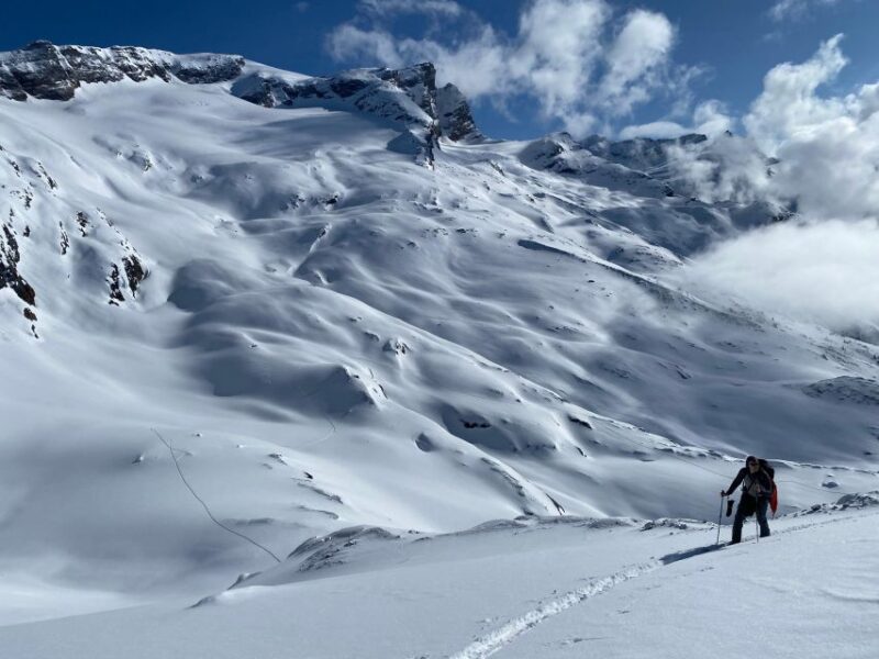 Freshfields/Lambe Glacier: Ski Basecamp - Trip Highlights