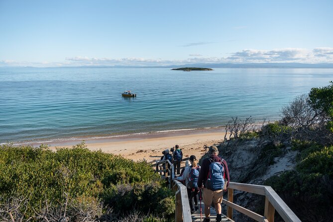 Freycinet Walking Tour - Explore Pristine Beaches
