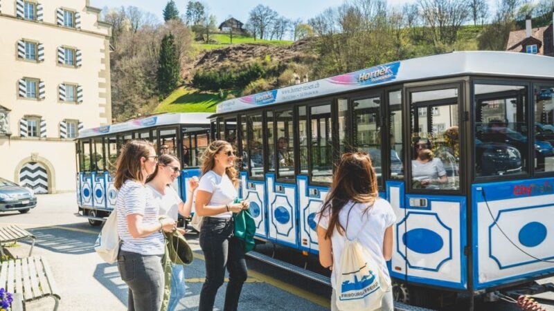 Fribourg City Card With Free Public Transport - Pricing and Booking Options