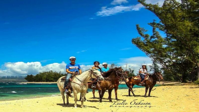 Fricolandia Beach Club Day Trip with Lunch - Frequently Asked Questions
