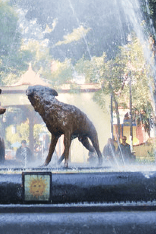 Frida Kahlo: Passion, Pain, and Hope (Walking Tour) - Accessibility and Cancellation