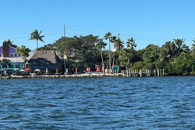 Friday and Saturday 1 pm Dolphin Tour - Who Is This Tour Best For?