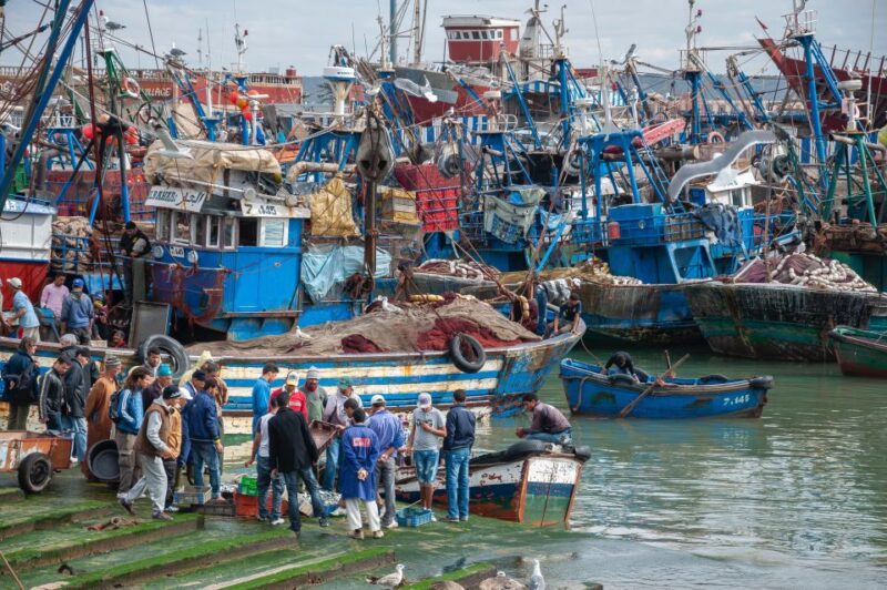 Friend-Guide Essaouira City Tour - Guided Tour Details
