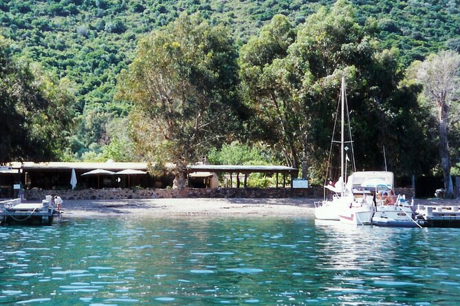 Friendly Discovery of Scandola Calanques De Piana and Meal Stop at Girolata - Participant Information and Inclusions